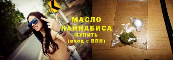 spice Ельня