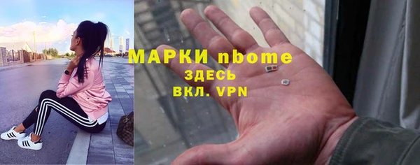spice Ельня