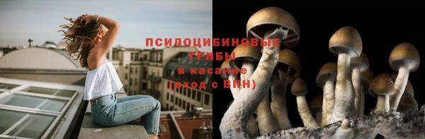 кристаллы Елабуга