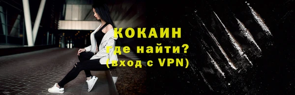 spice Ельня