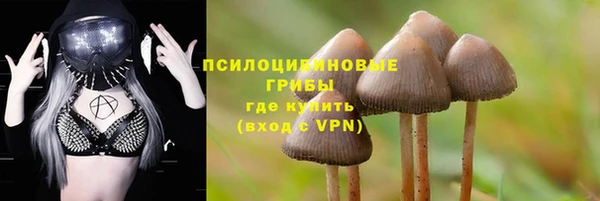 spice Ельня
