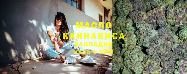 spice Ельня