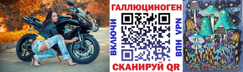 Купить где  Ленинск-Кузнецкий  Псилоцибиновые грибы Psilocybine cubensis 